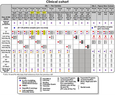 Corrigendum: Clinical Protocol for a Longitudinal Cohort Study Employing Systems Biology to Identify Markers of Vaccine Immunogenicity in Newborn Infants in The Gambia and Papua New Guinea